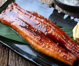 Frozen Roasted Eel Fillets